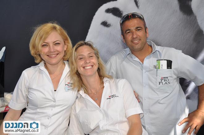 תמונה גדולה